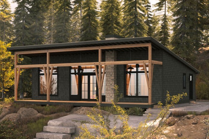 Finding affordable house design plans for a modern home