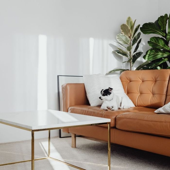 Home design ideas for multigenerational living