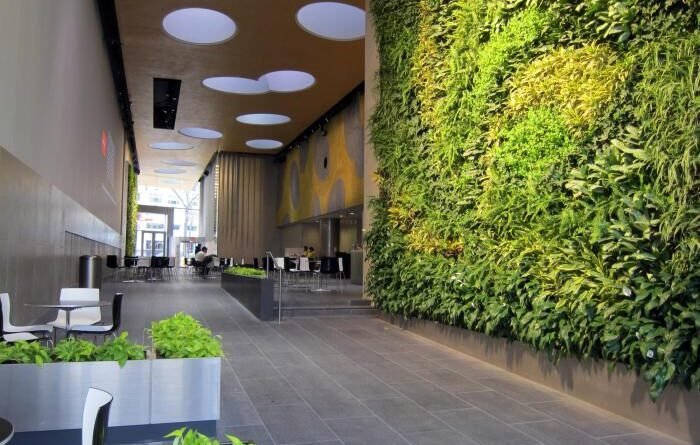 Incorporate biophilic design home