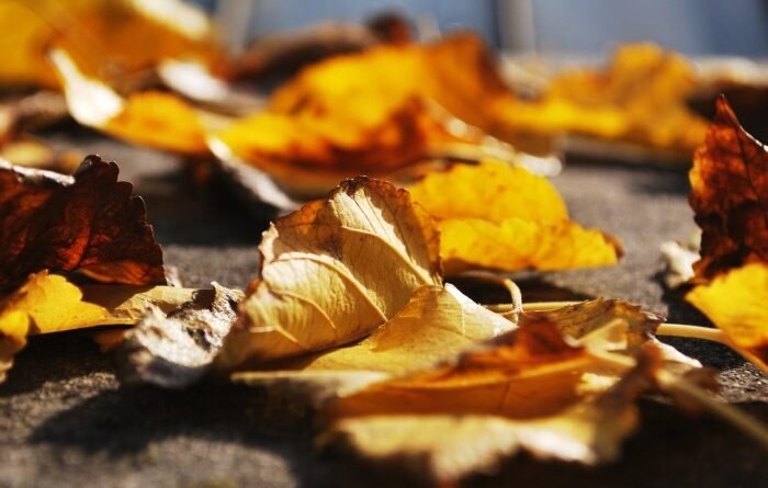 Seasonal home decor ideas