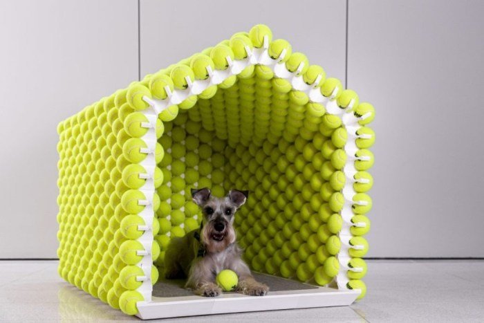 Home design ideas pet owners