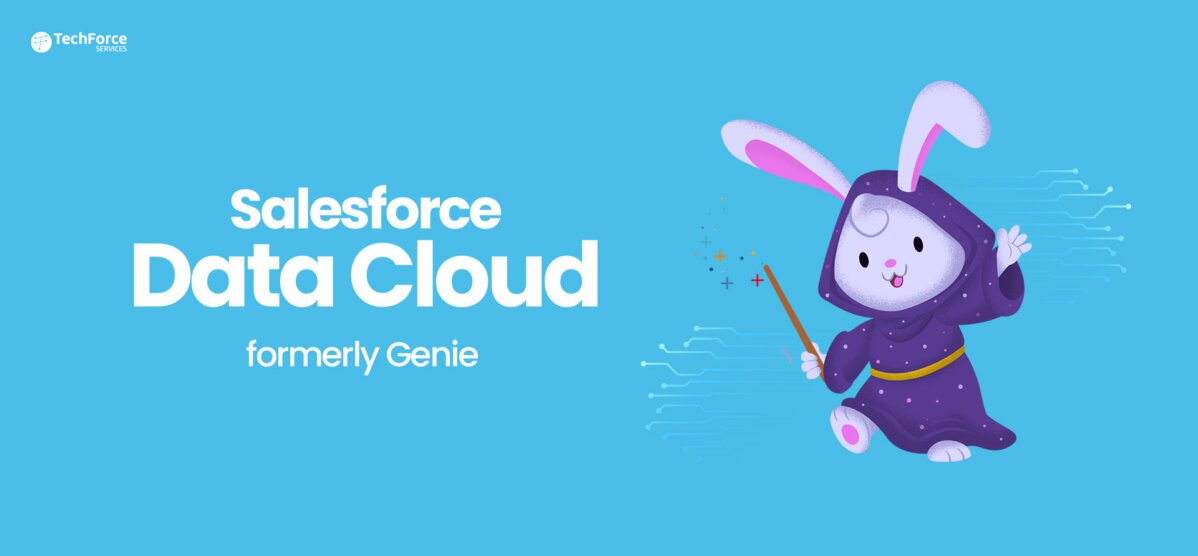 Salesforce Data Cloud vs a Stand-Alone CDP in 2025: What’s Cheaper, What’s Better