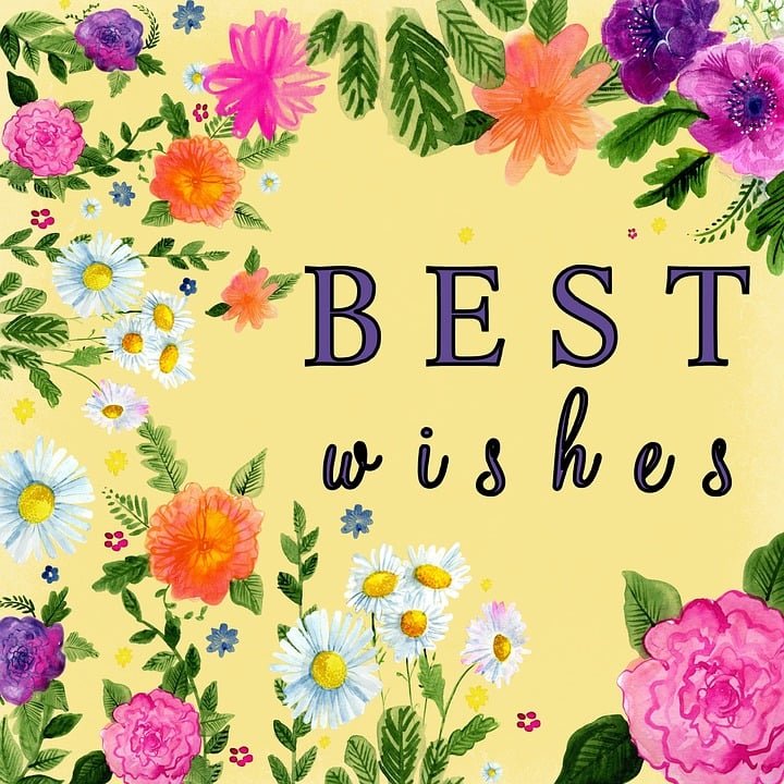 Bedste Ønsker Gul Blomst · Gratis billeder på Pixabay Best CRM for E-commerce (2025): Shopify & WooCommerce