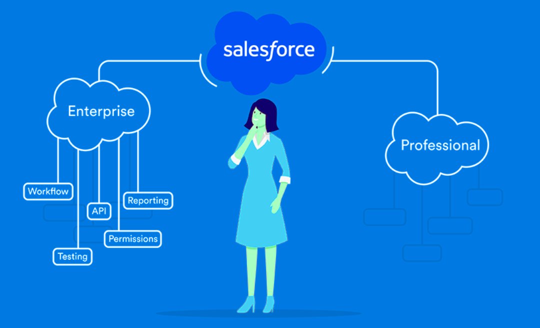 Visual Studio 2024 Professional Vs Enterprise - Vonny Johnette Salesforce Starter vs Professional vs Enterprise in 2025: Which Tier Fits?